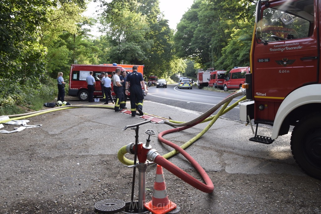 Waldbrand Koeln Hoehenhaus Hoehenfelder Mauspfad P203.JPG - Miklos Laubert